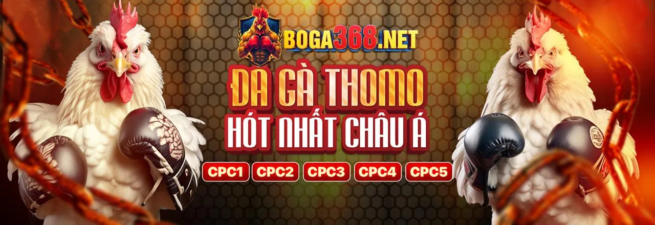 Đá gà trực tuyến kịch tính tại vn188 login
