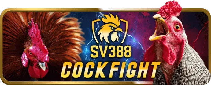 Bước 2: Điền thông tin đăng ký vn188 login